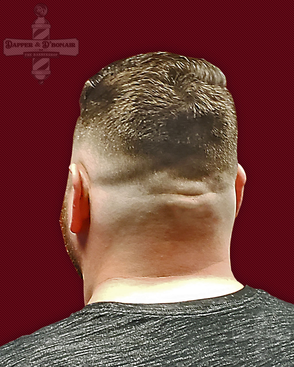 Haircut Gallery Dapper D Bonair The Barbershop Gallery